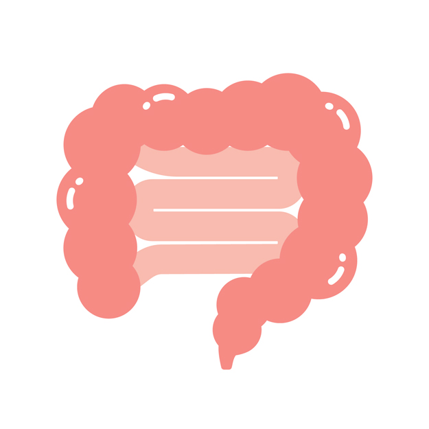 整腸・下痢止め