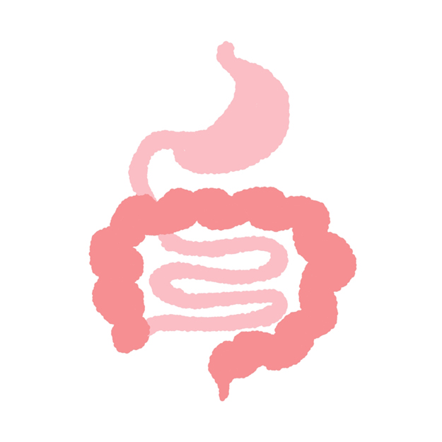 胃腸