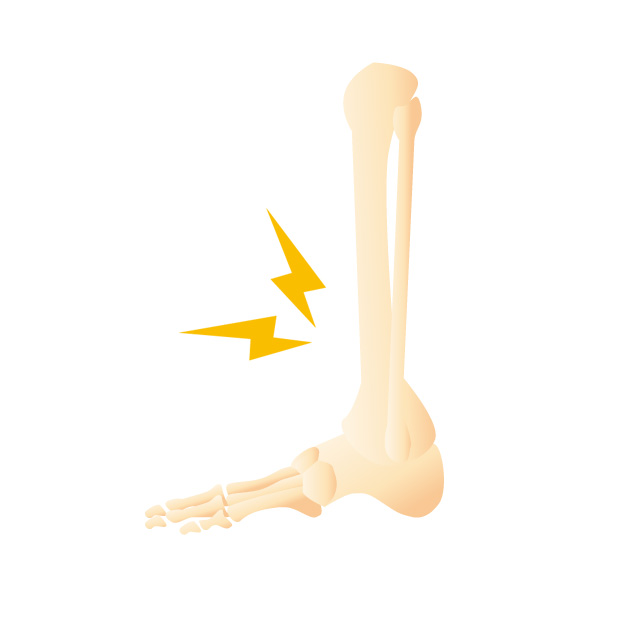 骨・関節サポート