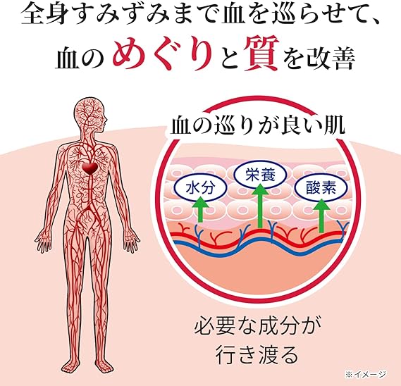 【第2類医薬品】メグリビa 168錠で、血の巡りと質を改善。